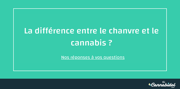 différence chanvre et cannabis